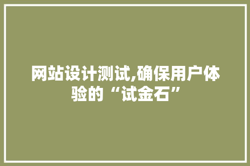 网站设计测试,确保用户体验的“试金石”