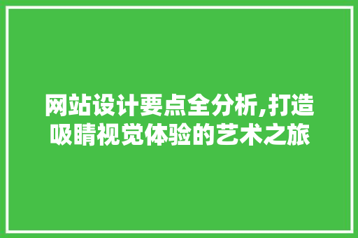 网站设计要点全分析,打造吸睛视觉体验的艺术之旅