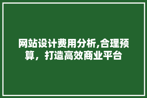 网站设计费用分析,合理预算，打造高效商业平台