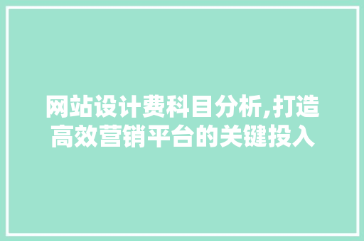 网站设计费科目分析,打造高效营销平台的关键投入