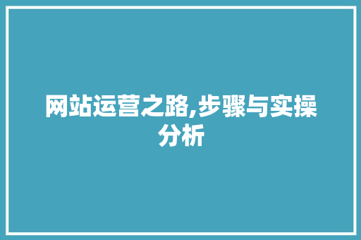 网站运营之路,步骤与实操分析