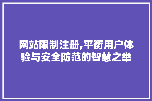 网站限制注册,平衡用户体验与安全防范的智慧之举