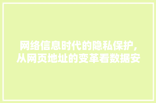 网络信息时代的隐私保护,从网页地址的变革看数据安全新篇章