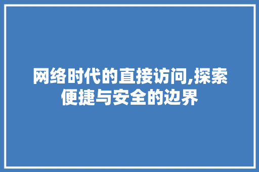 网络时代的直接访问,探索便捷与安全的边界