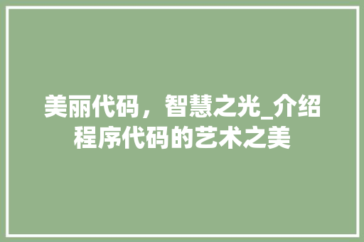 美丽代码，智慧之光_介绍程序代码的艺术之美