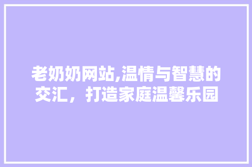 老奶奶网站,温情与智慧的交汇，打造家庭温馨乐园