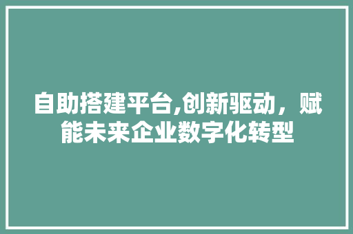 自助搭建平台,创新驱动，赋能未来企业数字化转型