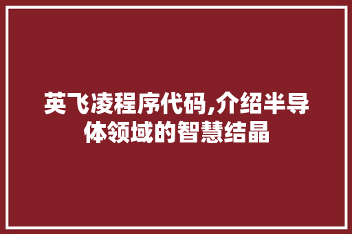 英飞凌程序代码,介绍半导体领域的智慧结晶