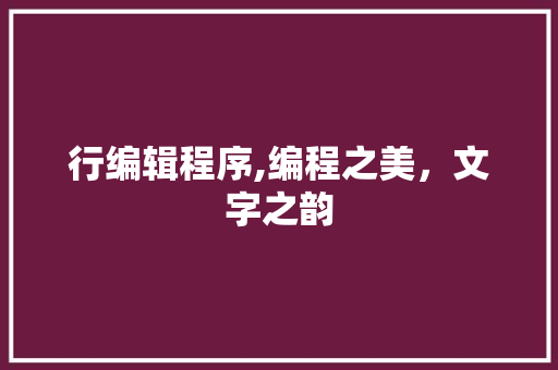 行编辑程序,编程之美，文字之韵