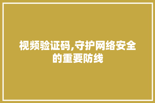 视频验证码,守护网络安全的重要防线