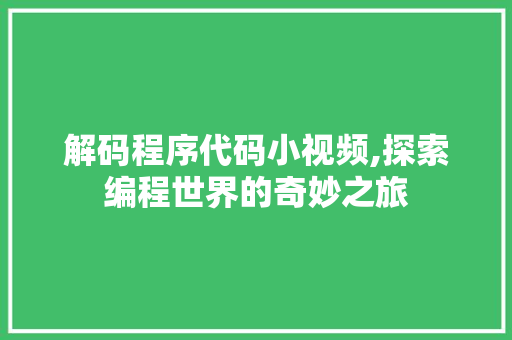 解码程序代码小视频,探索编程世界的奇妙之旅