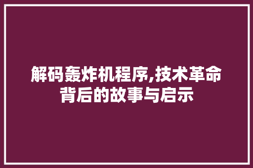 解码轰炸机程序,技术革命背后的故事与启示