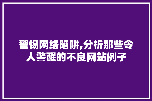 警惕网络陷阱,分析那些令人警醒的不良网站例子