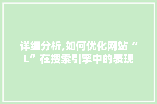 详细分析,如何优化网站“L”在搜索引擎中的表现