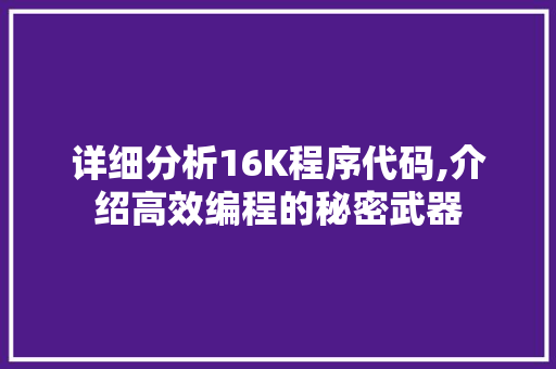 详细分析16K程序代码,介绍高效编程的秘密武器