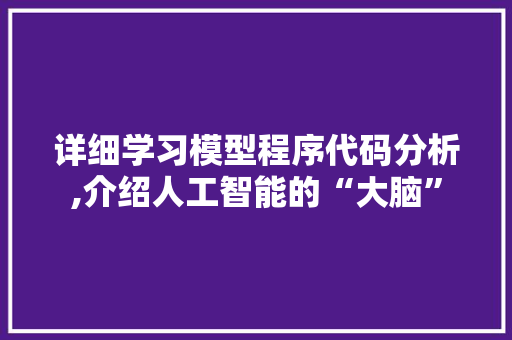 详细学习模型程序代码分析,介绍人工智能的“大脑”