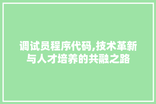 调试员程序代码,技术革新与人才培养的共融之路