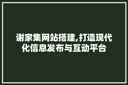 谢家集网站搭建,打造现代化信息发布与互动平台