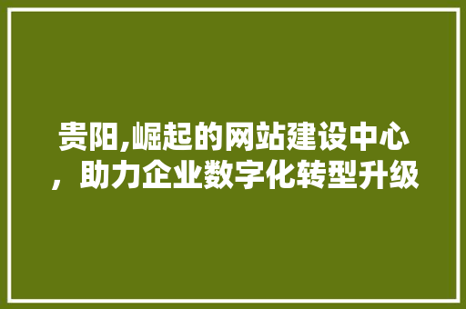 贵阳,崛起的网站建设中心，助力企业数字化转型升级