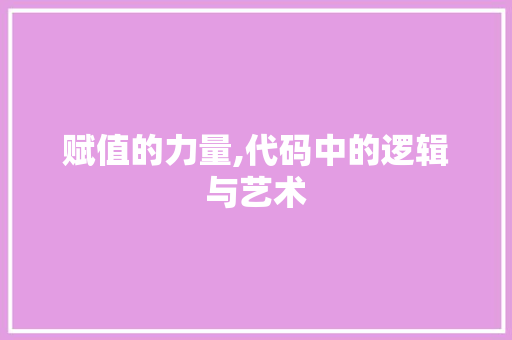 赋值的力量,代码中的逻辑与艺术