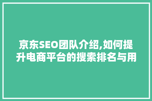 京东SEO团队介绍,如何提升电商平台的搜索排名与用户体验