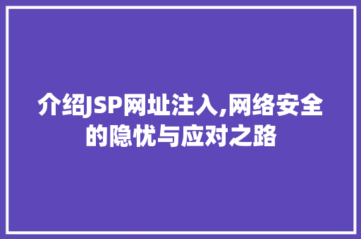 介绍JSP网址注入,网络安全的隐忧与应对之路