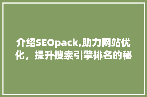 介绍SEOpack,助力网站优化，提升搜索引擎排名的秘密武器