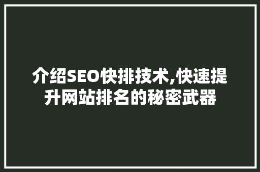 介绍SEO快排技术,快速提升网站排名的秘密武器