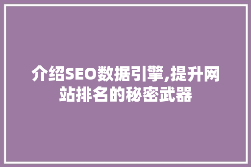 介绍SEO数据引擎,提升网站排名的秘密武器