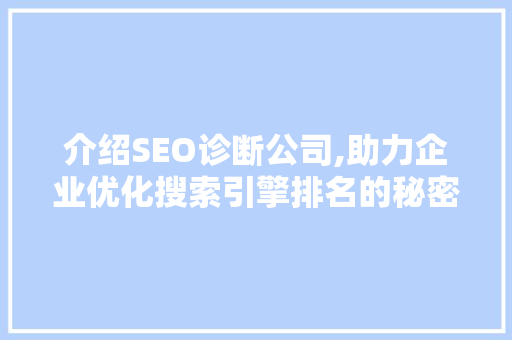 介绍SEO诊断公司,助力企业优化搜索引擎排名的秘密武器