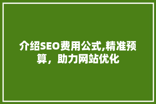 介绍SEO费用公式,精准预算，助力网站优化