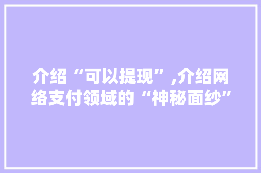 介绍“可以提现”,介绍网络支付领域的“神秘面纱”