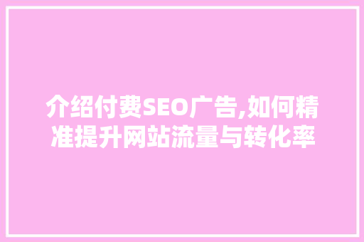 介绍付费SEO广告,如何精准提升网站流量与转化率