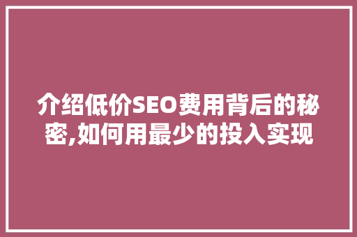 介绍低价SEO费用背后的秘密,如何用最少的投入实现最佳效果