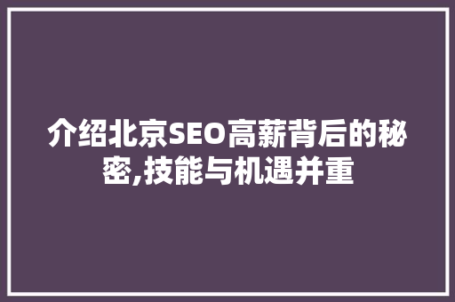 介绍北京SEO高薪背后的秘密,技能与机遇并重