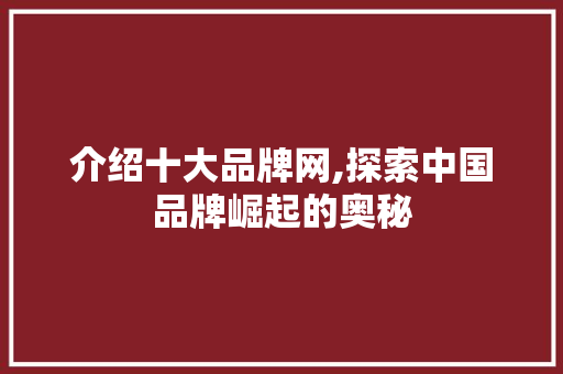 介绍十大品牌网,探索中国品牌崛起的奥秘