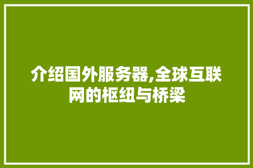 介绍国外服务器,全球互联网的枢纽与桥梁