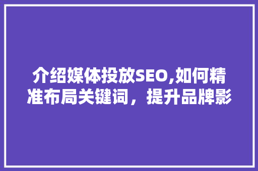 介绍媒体投放SEO,如何精准布局关键词，提升品牌影响力