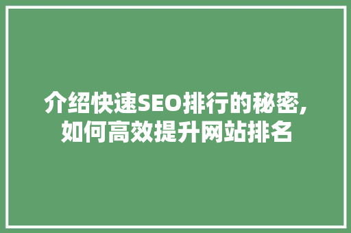 介绍快速SEO排行的秘密,如何高效提升网站排名