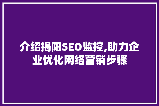 介绍揭阳SEO监控,助力企业优化网络营销步骤