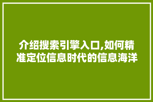 介绍搜索引擎入口,如何精准定位信息时代的信息海洋