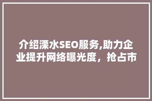 介绍溧水SEO服务,助力企业提升网络曝光度，抢占市场先机