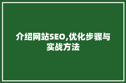 介绍网站SEO,优化步骤与实战方法