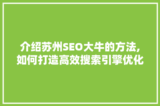 介绍苏州SEO大牛的方法,如何打造高效搜索引擎优化步骤