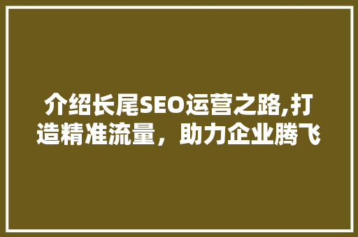 介绍长尾SEO运营之路,打造精准流量，助力企业腾飞