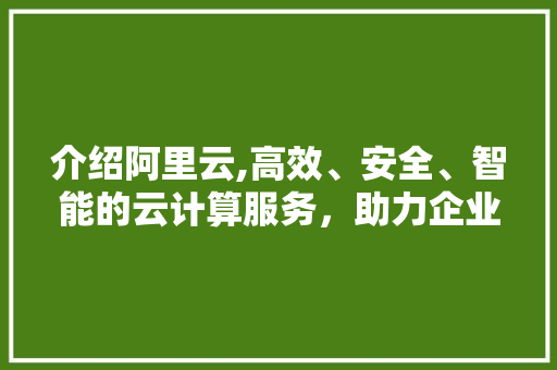 介绍阿里云,高效、安全、智能的云计算服务，助力企业成长无忧