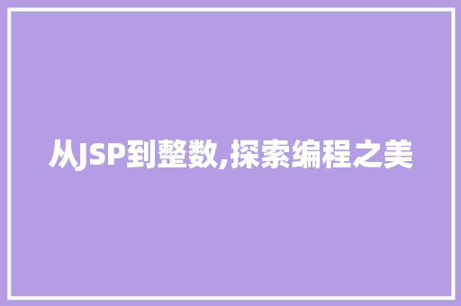 从JSP到整数,探索编程之美