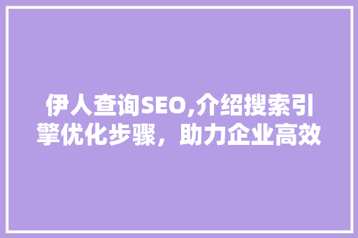 伊人查询SEO,介绍搜索引擎优化步骤，助力企业高效营销