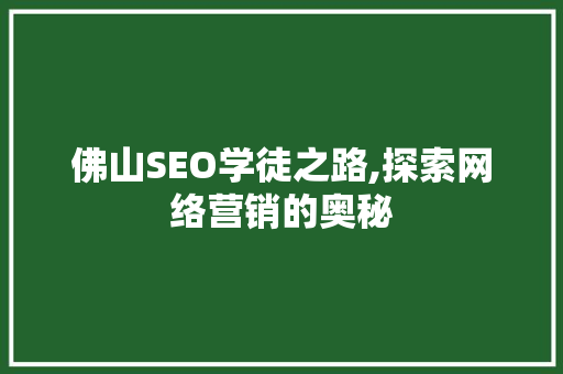 佛山SEO学徒之路,探索网络营销的奥秘