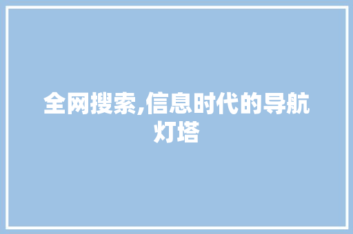 全网搜索,信息时代的导航灯塔